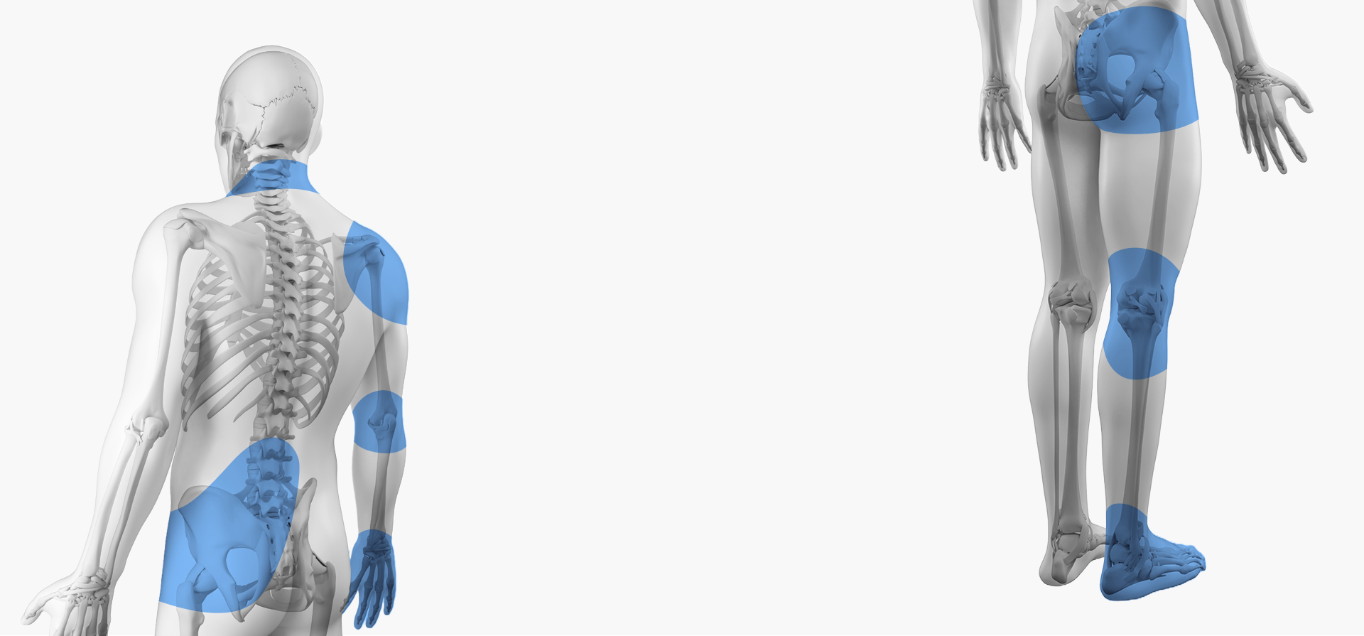 척추·관절 섹션 메인 이미지